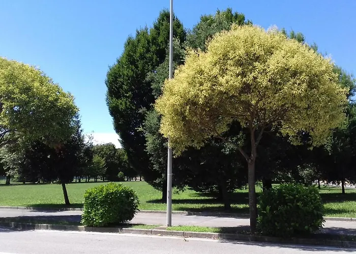 Monolocale Monticano * Motta di Livenza